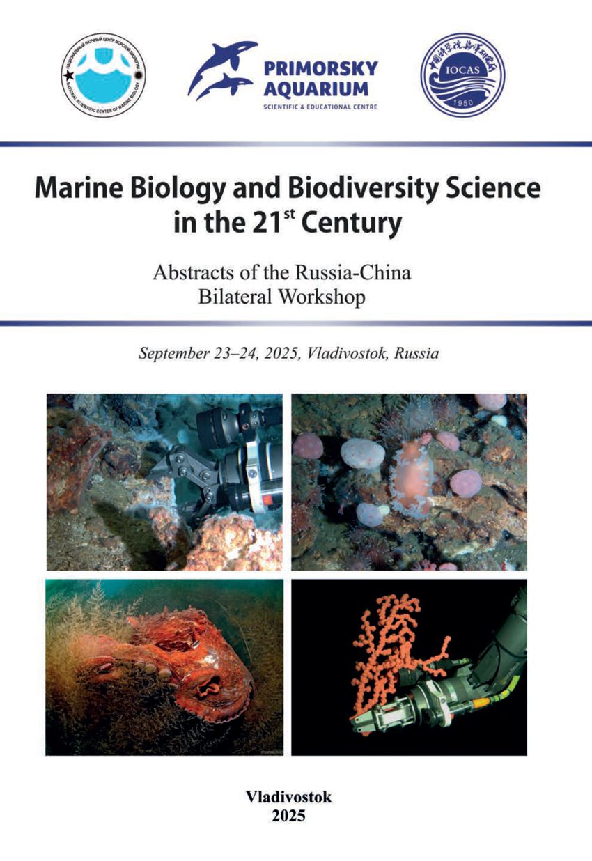 Russia China Workshop 2025 Abstracts Cover