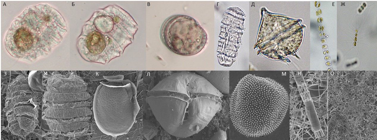 Презентация1