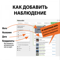 inat_004.png