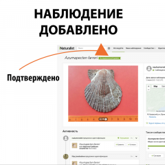 inat_006.png