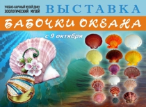 Ocean butterflies